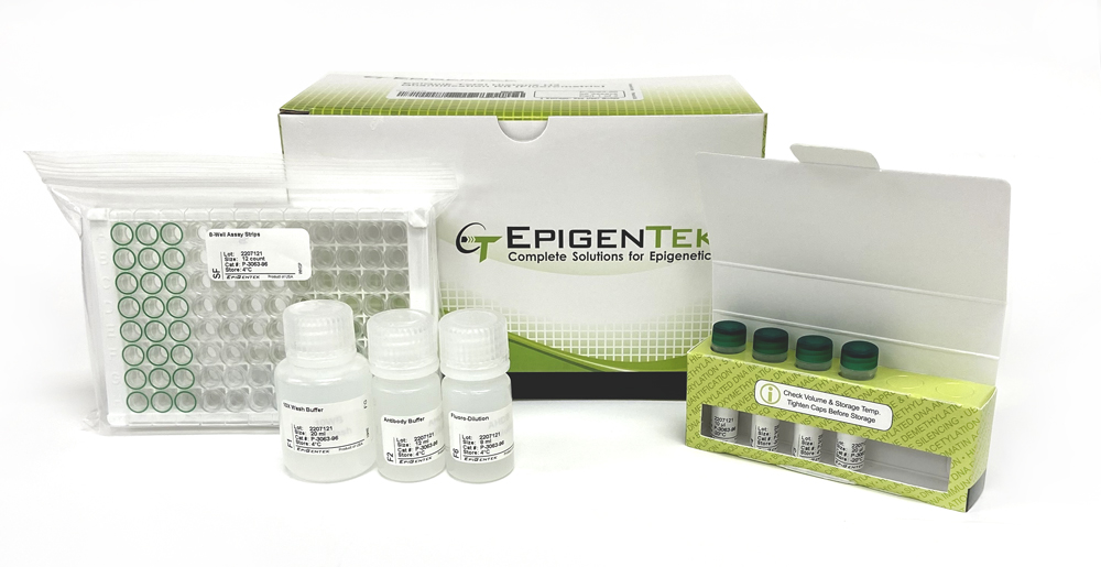 EpiQuik Total Histone H3 Quantification Kit (Fluorometric) (96 assays)