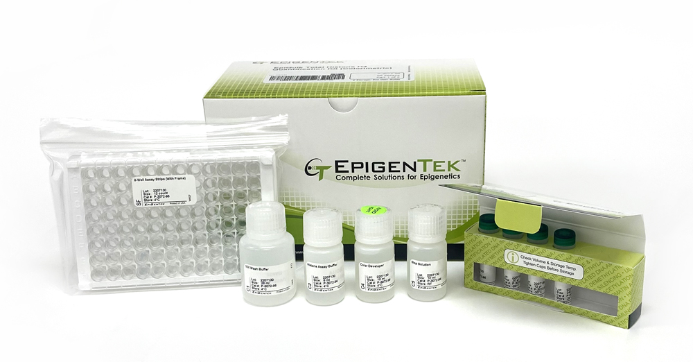 EpiQuik Total Histone H4 Quantification Kit (Colorimetric) (96 assays)