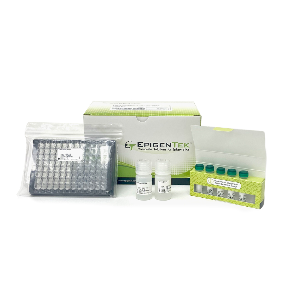 EpiQuik Histone Demethylase LSD1 Inhibitor Screening Assay Core Kit (96 assays)