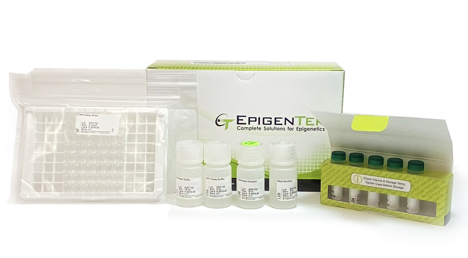 Epigenase LSD1 Demethylase Activity/Inhibition Assay Kit (Colorimetric)