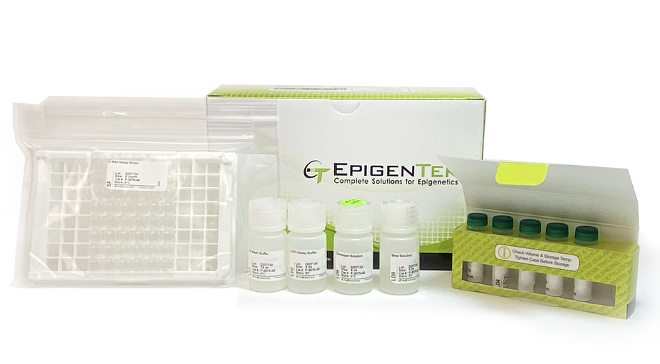 Epigenase LSD1 Demethylase Activity/Inhibition Assay Kit (Colorimetric) (48 assays)