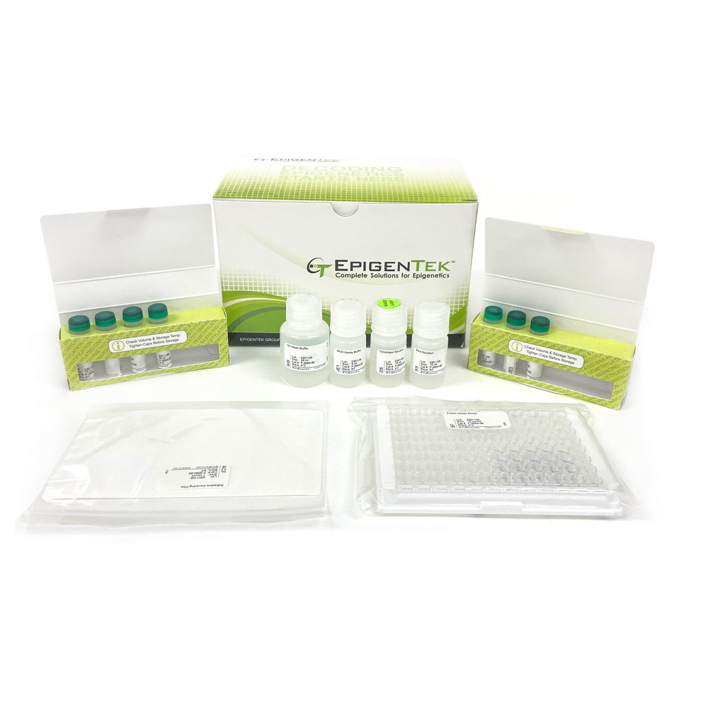 Epigenase JMJD3/UTX Demethylase Activity/Inhibition Assay Kit (Colorimetric) (48 assays)