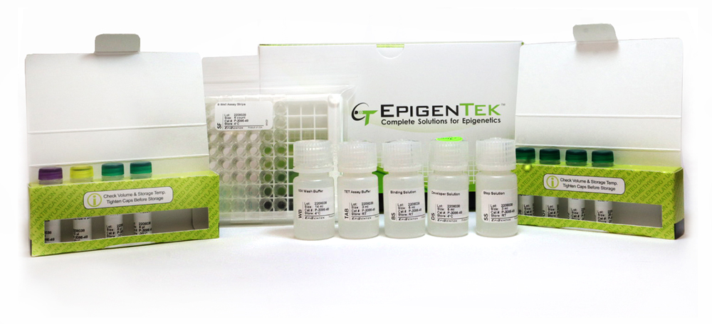 Epigenase 5mC-Hydroxylase TET Activity/Inhibition Assay Kit (Colorimetric) (48 assays)