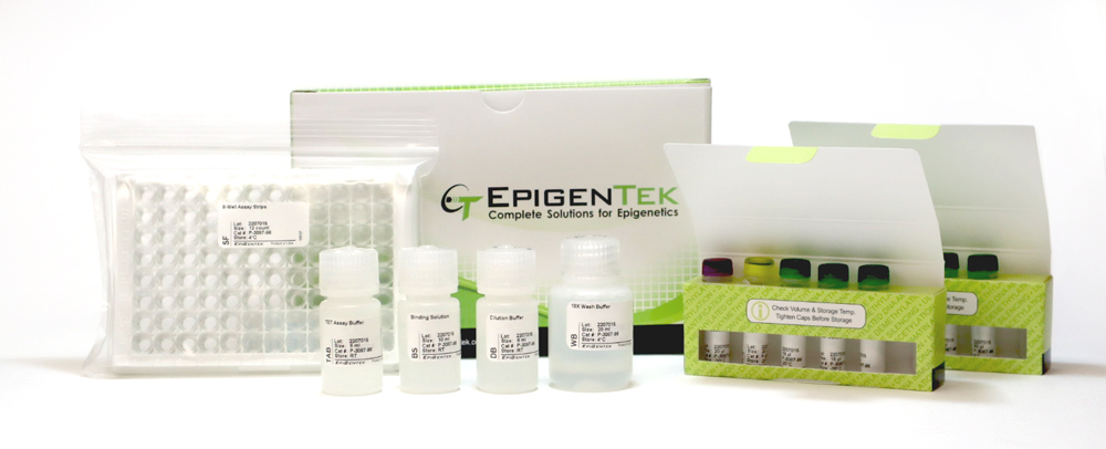 Epigenase 5mC-Hydroxylase TET Activity/Inhibition Assay Kit (Fluorometric) (48 assays)