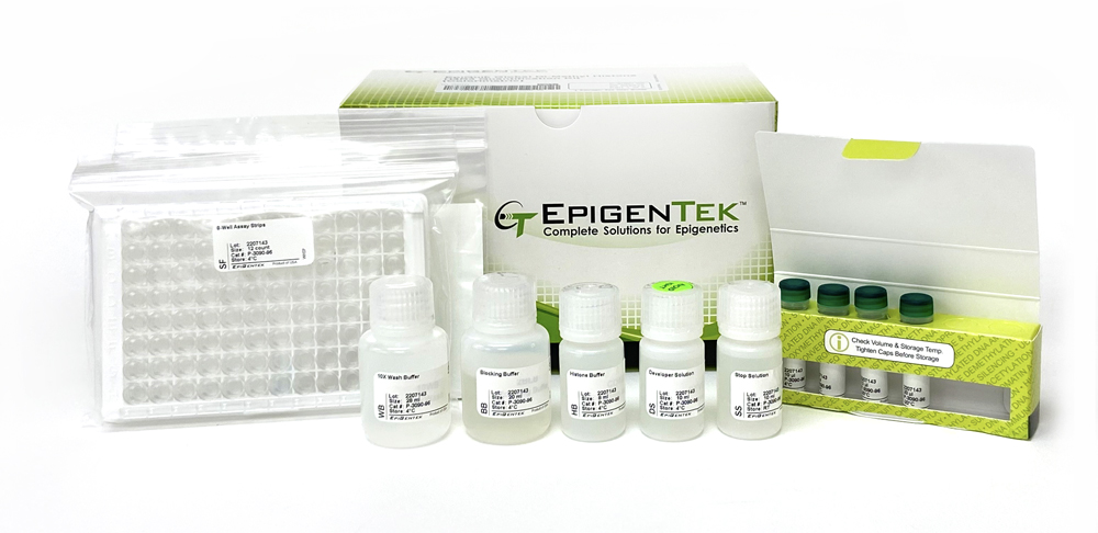 EpiQuik Global Di-Methyl Histone H4R3 Quantification Kit (Colorimetric) (48 assays)