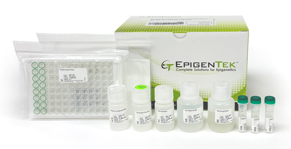 EpiQuik Histone H3 Citrullination ELISA Kit (Colorimetric)
