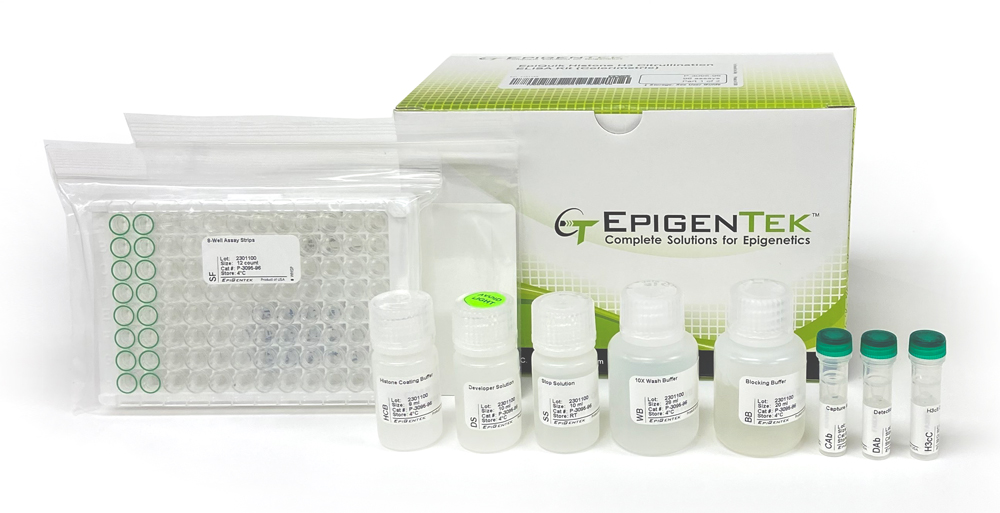 EpiQuik Histone H3 Citrullination ELISA Kit (Colorimetric) (48 assays)