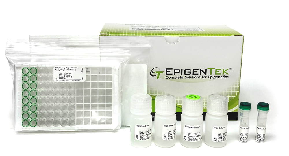 EpiQuik Circulating Histone H3 Citrullination ELISA Kit (Colorimetric)
