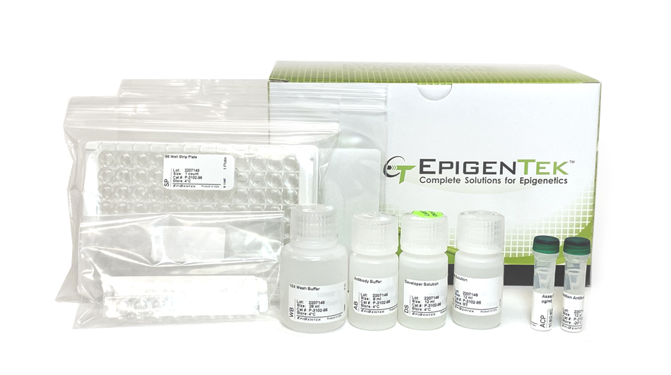 EpiQuik Histone H4 Modification Multiplex Assay Kit (Colorimetric) (96 Reactions)