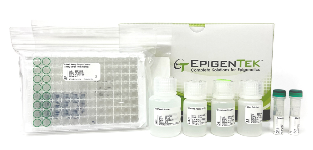 EpiQuik Circulating Trimethyl Histone H3K27 ELISA Kit (Colorimetric) (96 assays)