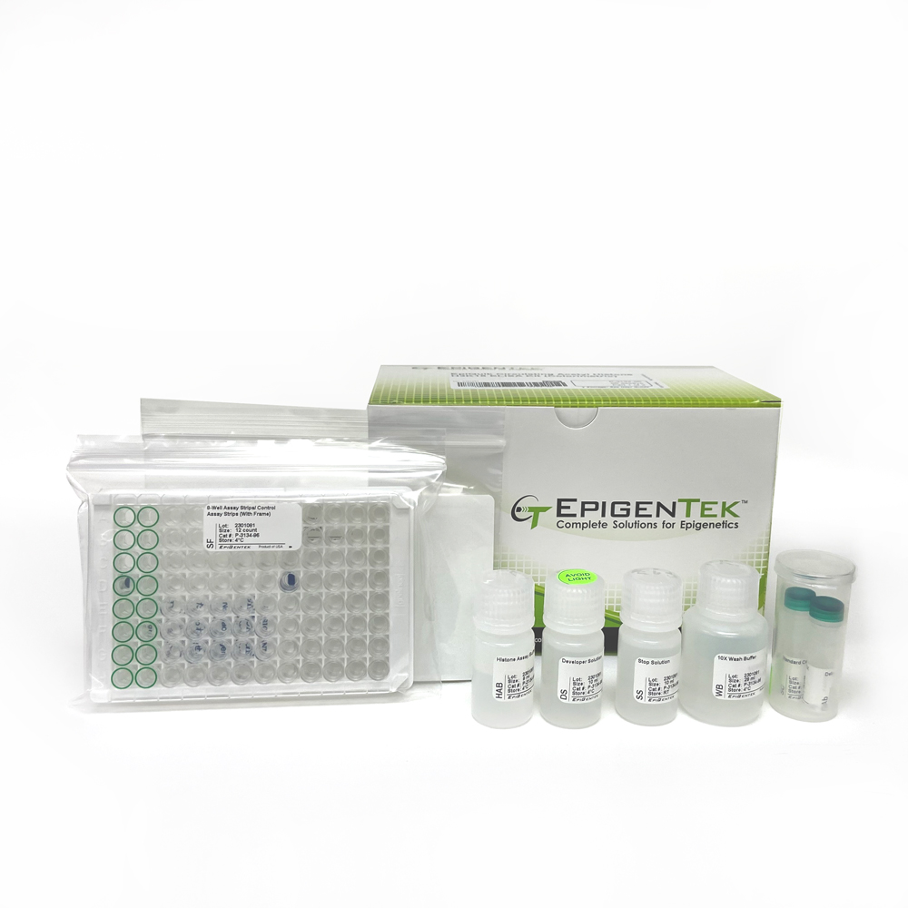 EpiQuik Circulating Acetyl Histone H3K18 ELISA Kit (Colorimetric) (96 assays)