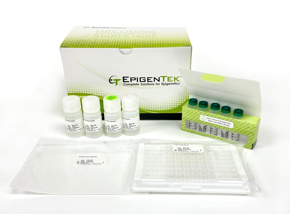 EpiQuik DNMT Activity/Inhibition ELISA Easy Kit (Colorimetric) (96 assays)