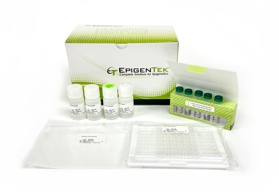 Global Methylation Quantitation