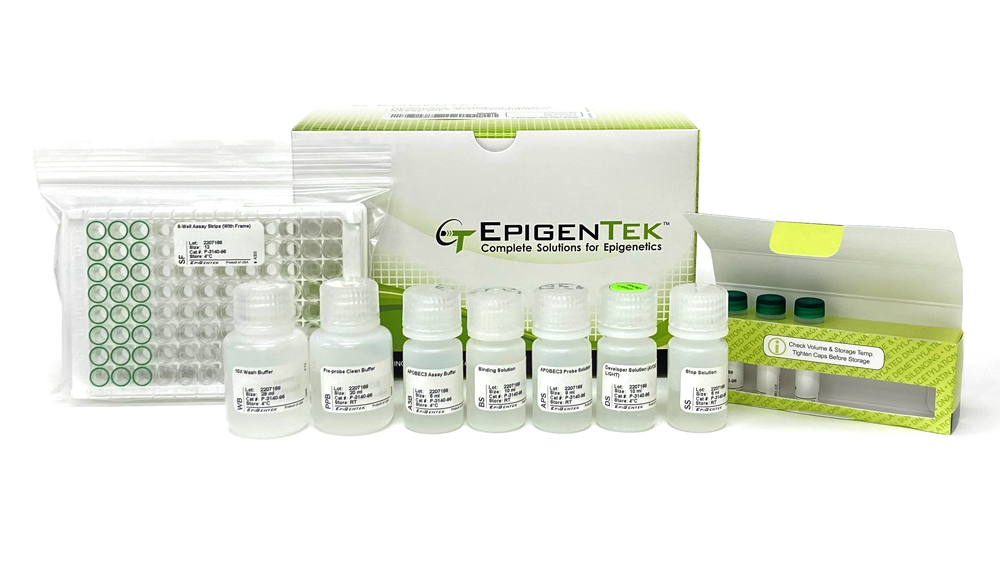 Epigenas APOBEC3 Cytidine Deaminase Activity/Inhibition Assay Kit (48 assays)