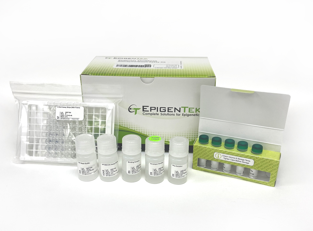 Epigenase APOBEC3A Activity/Inhibition Assay Kit