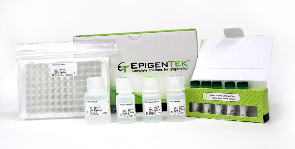 EpiQuik HDAC Activity/Inhibition Assay Kit (Colorimetric) (48 assays)