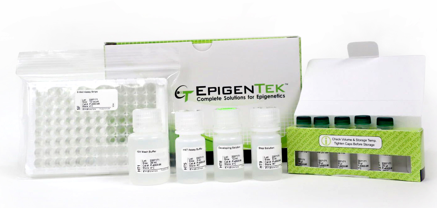 EpiQuik HAT Activity/Inhibition Assay Kit