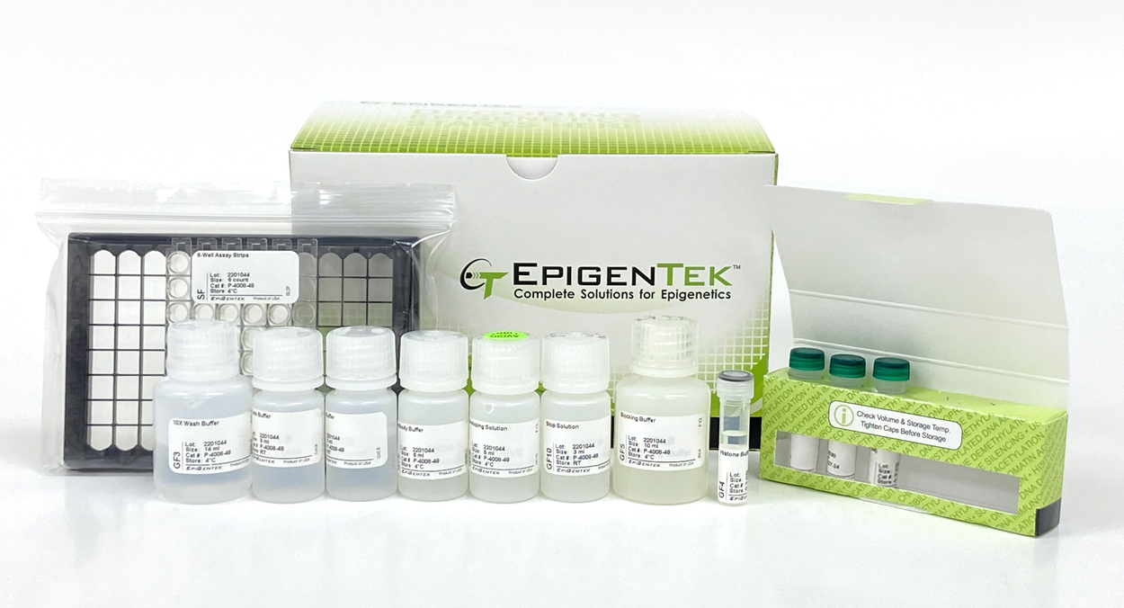 EpiQuik Global Histone H3 Acetylation Assay Kit (96 assays)