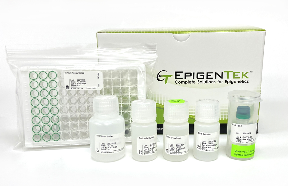 EpiQuik Total Histone H3 Acetylation Detection Fast Kit (Colorimetric) (96 assays)