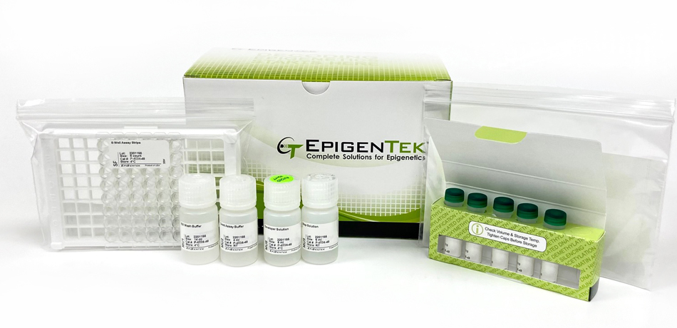 Epigenase HDAC Activity/Inhibition Direct Assay Kit (Colorimetric)