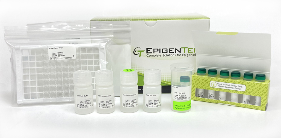 Epigenase Universal SIRT Activity/Inhibition Assay Kit (Colorimetric) (48 assays)