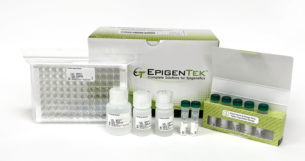 EpiQuik 8-OHdG DNA Damage Quantification Direct Kit (Fluorometric) (96 Assays)