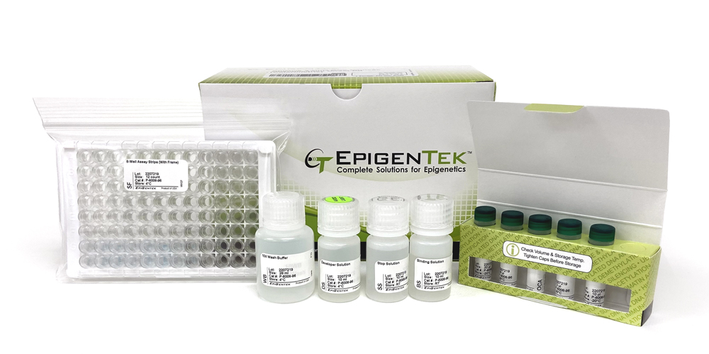 EpiQuik 8-OhG RNA Damage Quantification Direct Kit (Colorimetric) (96 assays)