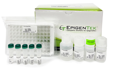 EpiQuik Nitrosative (8-Nitroguanine) DNA/RNA Damage Quantification Kit (Colorimetric) (96 assays)