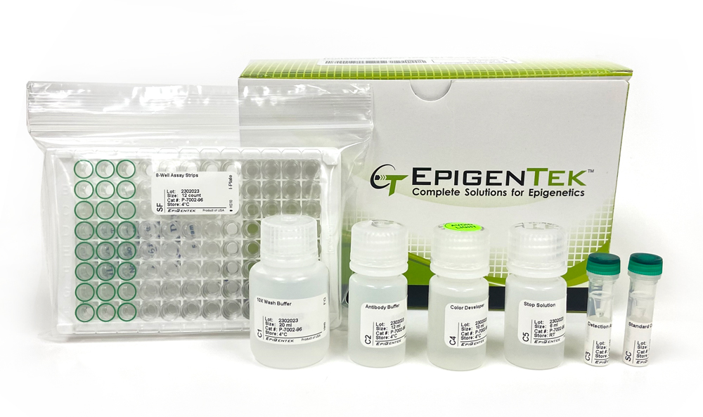 EpiQuik Global Histone H3 Phosphorylation (Ser10) Assay Kit (Colorimetric) (96 assays)