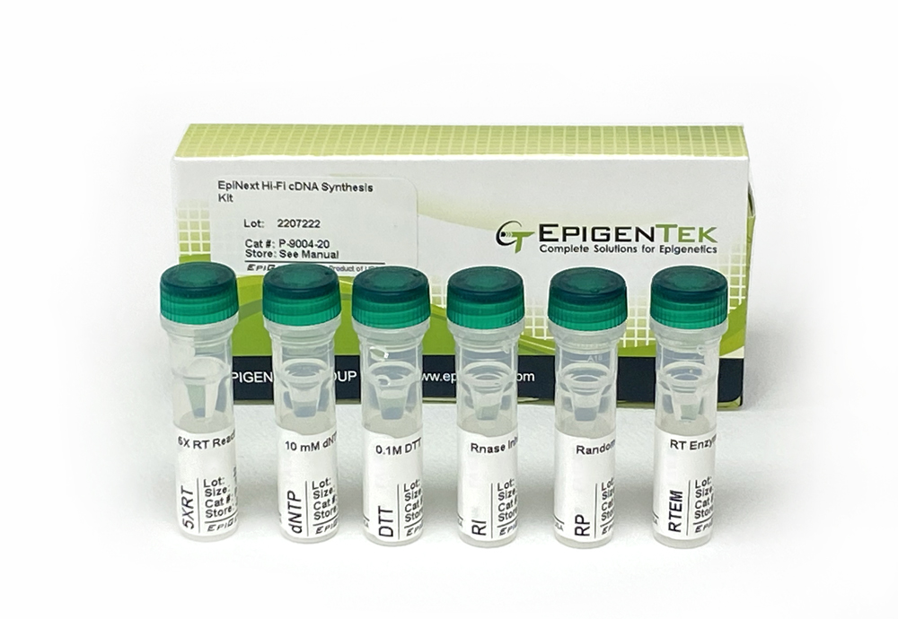 EpiNext Hi-Fi cDNA Synthesis Kit (20 Reactions)