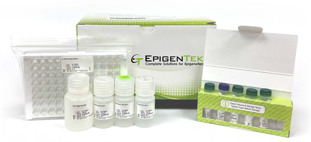 EpiQuik m6A RNA Methylation Quantification Kit (Colorimetric)