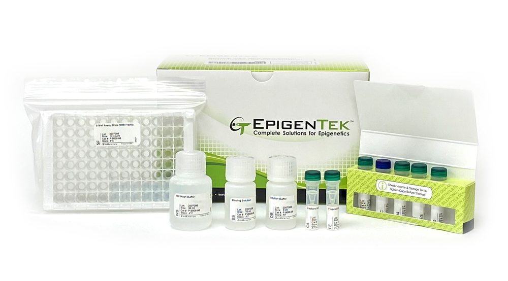 EpiQuik m6A RNA Methylation Quantification Kit (Fluorometric) P-9008