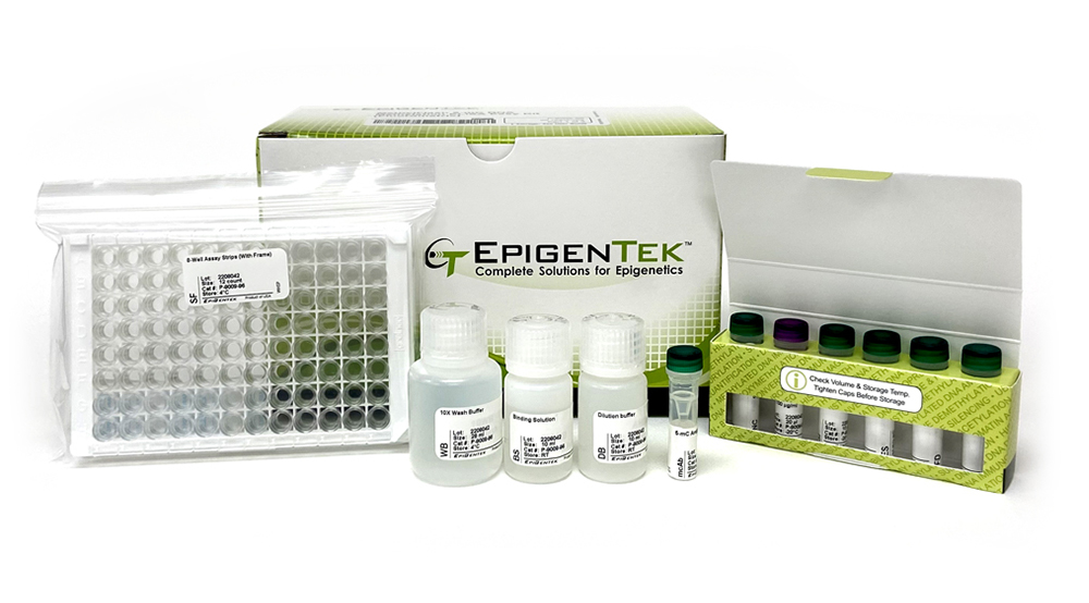 5-mC RNA Methylation ELISA Easy Kit