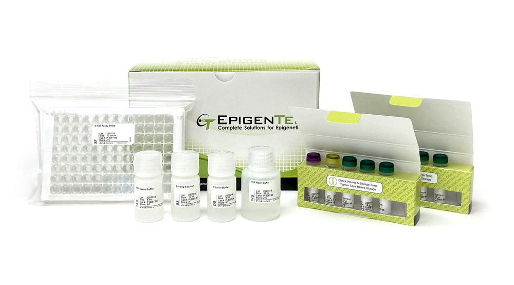 Epigenase m6A Demethylase Activity/Inhibition Assay Kit (Colorimetric) P-9013