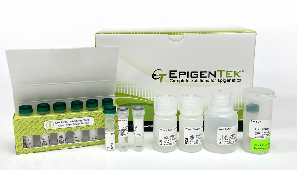 EpiQuik CUT&RUN m6A RNA Enrichment (MeRIP) Kit P-9018