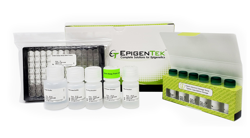 Epigenase m6A Methylase Activity/Inhibition Assay Kit P-9019