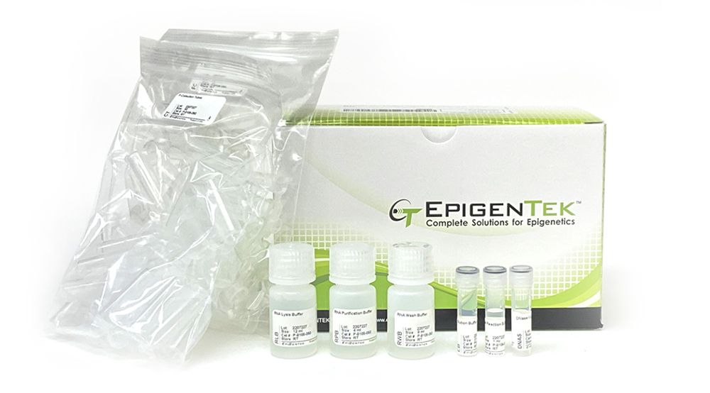 EpiQuik Total RNA Isolation Fast Kit (50 samples)