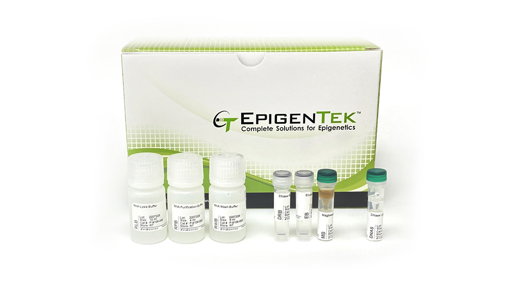 EpiQuik Magbeads Quick RNA Isolation Kit (50 samples)