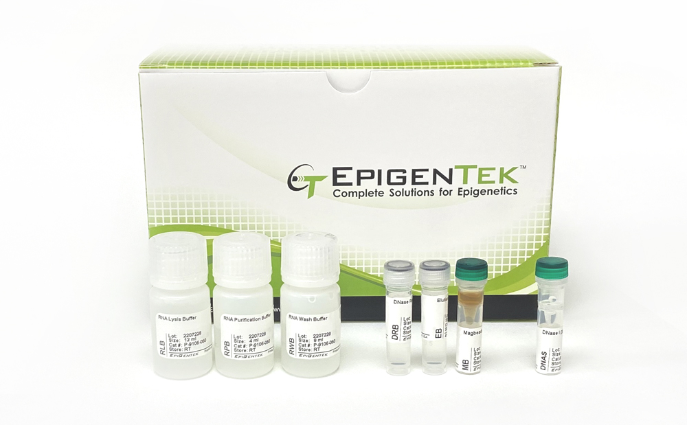 EpiQuik Magbeads Quick RNA Isolation Kit P-9106