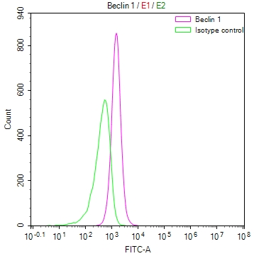 BECN1 Recombinant Monoclonal Antibody [22F4] (100µl)