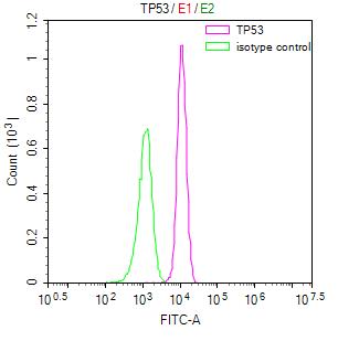 TP53 Recombinant Monoclonal Antibody [16D9] (50µl)