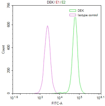 DEK Recombinant Monoclonal Antibody [20D2] (100µl)