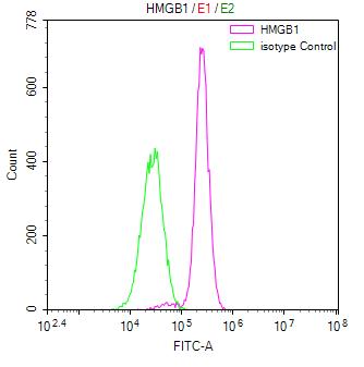 HMGB1 Recombinant Monoclonal Antibody [1E7] (100µl)