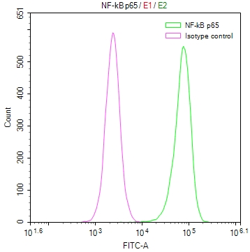 RELA Recombinant Monoclonal Antibody [38F2] (50µl)