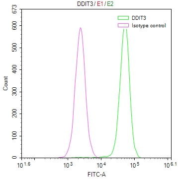 DDIT3 Recombinant Monoclonal Antibody [17A10] (50µl)