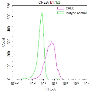 CREB1 Recombinant Monoclonal Antibody [21E3] (100µl)