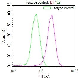 E2F4 Recombinant Monoclonal Antibody [24E12] (100µl)