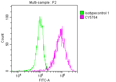 PKM Recombinant Monoclonal Antibody [7B2] (50µl)