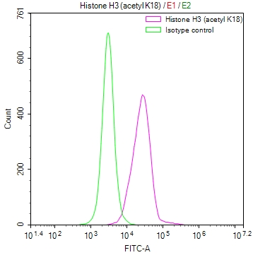 HIST1H3Aac (Acetyl HIST1H3A) Recombinant Monoclonal Antibody [30A7] (100µl)