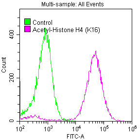 Histone H4K16ac (Acetyl H4K16) Recombinant Monoclonal Antibody [2B8] (100µl)